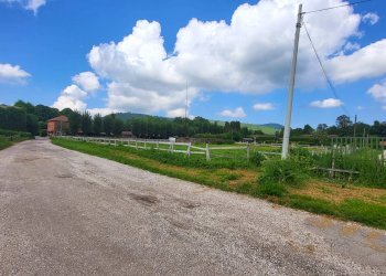 Foto 10 - Agricultural land Via del Vivaro, Rocca di Papa - photo 10