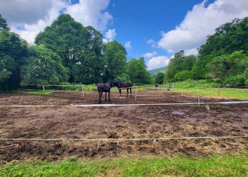 Foto 11 - Agricultural land Via del Vivaro, Rocca di Papa - photo 11