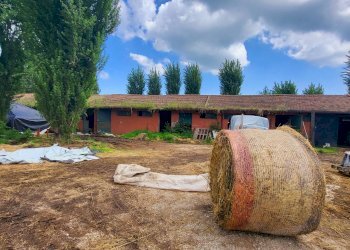 Foto 12 - Agricultural land Via del Vivaro, Rocca di Papa - photo 12