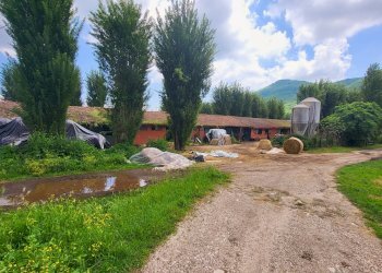 Foto 14 - Agricultural land Via del Vivaro, Rocca di Papa - photo 14