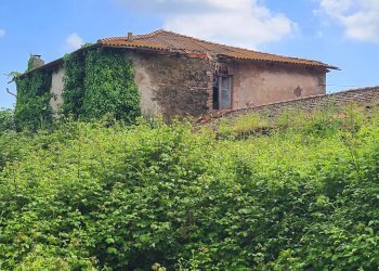 Foto 17 - Agricultural land Via del Vivaro, Rocca di Papa - photo 17