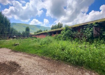 Foto 19 - Agricultural land Via del Vivaro, Rocca di Papa - photo 19