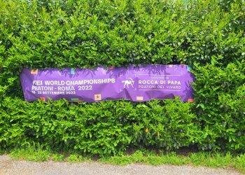 Foto 23 - Agricultural land Via del Vivaro, Rocca di Papa - photo 23