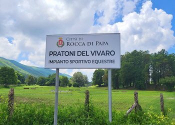 Foto 26 - Agricultural land Via del Vivaro, Rocca di Papa - photo 26