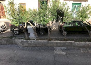 Foto 7 - Casa indipendente via Orientale
 
52, Casalbordino - foto 7