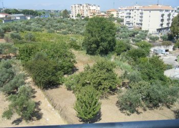 Foto 10 - Trilocale via Catone
 
24, Vasto - foto 10