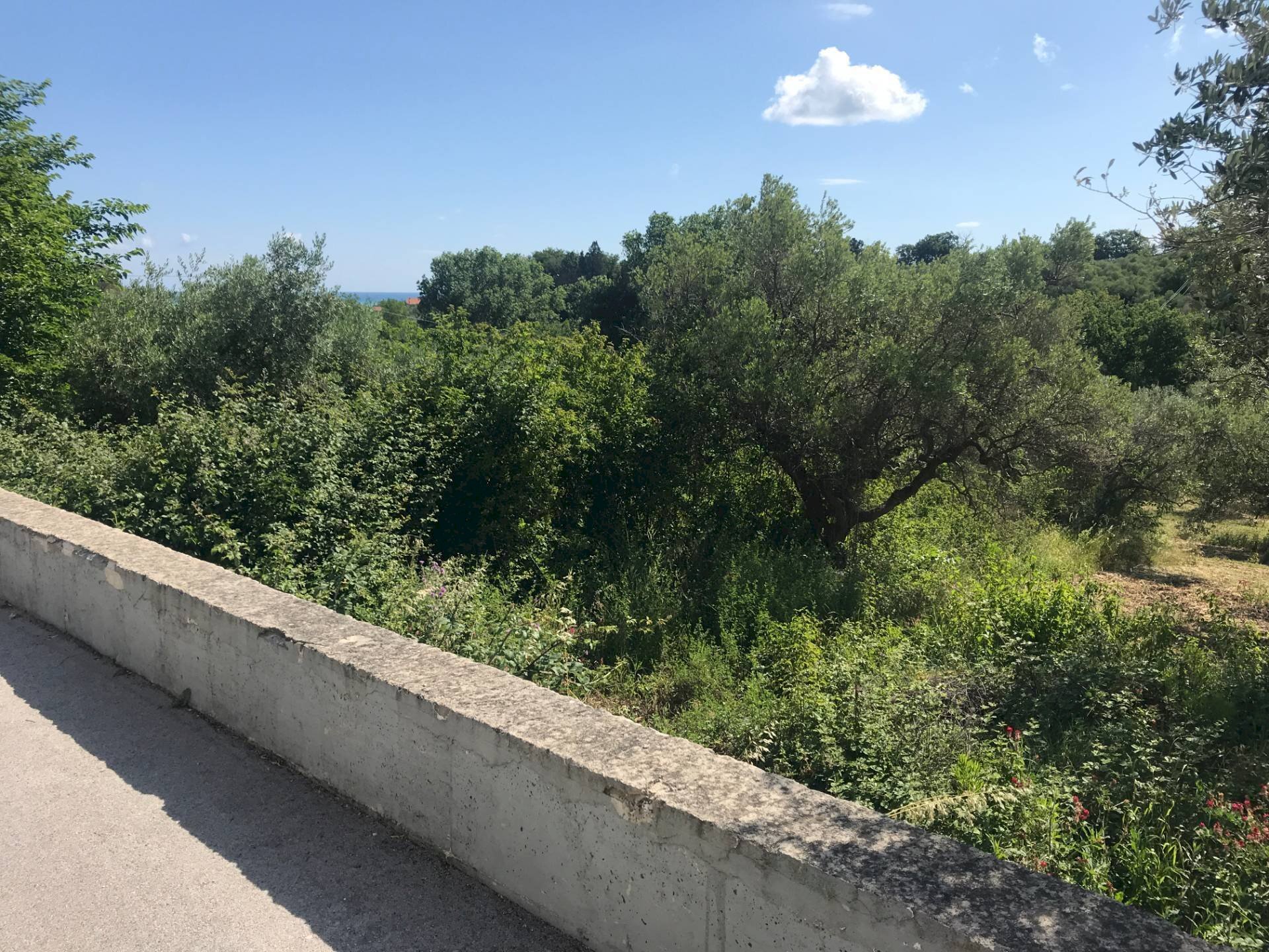 Foto 3 - Building land VIA INCORONATA, Vasto - photo 3