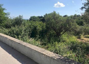 Foto 3 - Terreno edificabile VIA INCORONATA, Vasto - foto 3