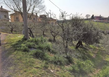 Foto 2 - Terreno edificabile C.da San Lorenzo, Vasto - foto 2