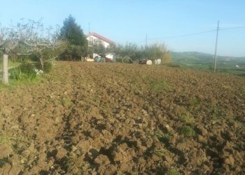 Foto 6 - Casa semi indipendente C.da Difensuola
 
20, Montenero di Bisaccia - foto 6