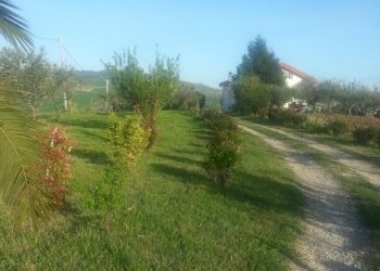 Foto 21 - Casa semi indipendente C.da Difensuola
 
20, Montenero di Bisaccia - foto 21