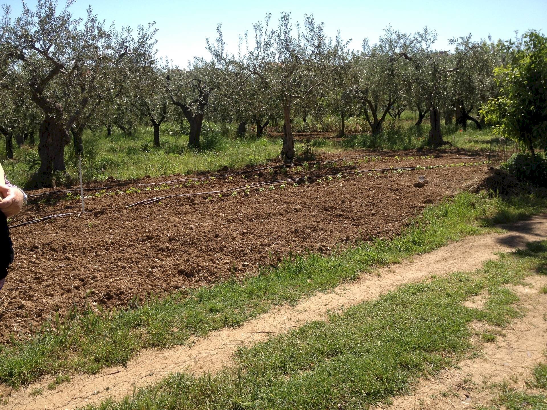 Foto 2 - Agriturismo VIA SAN SISTO, Vasto - photo 2