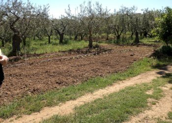 Foto 1 - Agriturismo VIA SAN SISTO, Vasto - foto 1