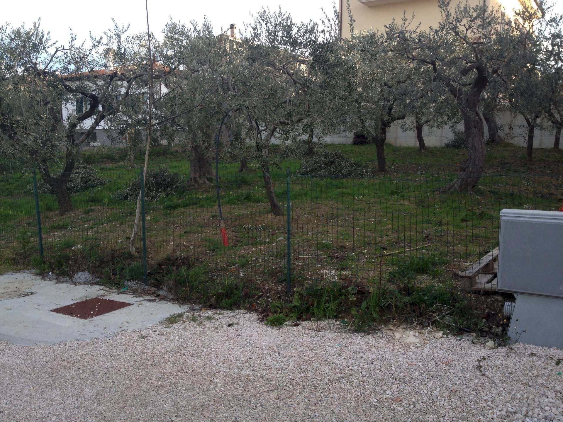 Foto 3 - Terreno edificabile VIA INCORONATA, Vasto - foto 3