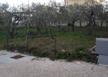 Foto 3 - Terreno edificabile VIA INCORONATA, Vasto - foto 3