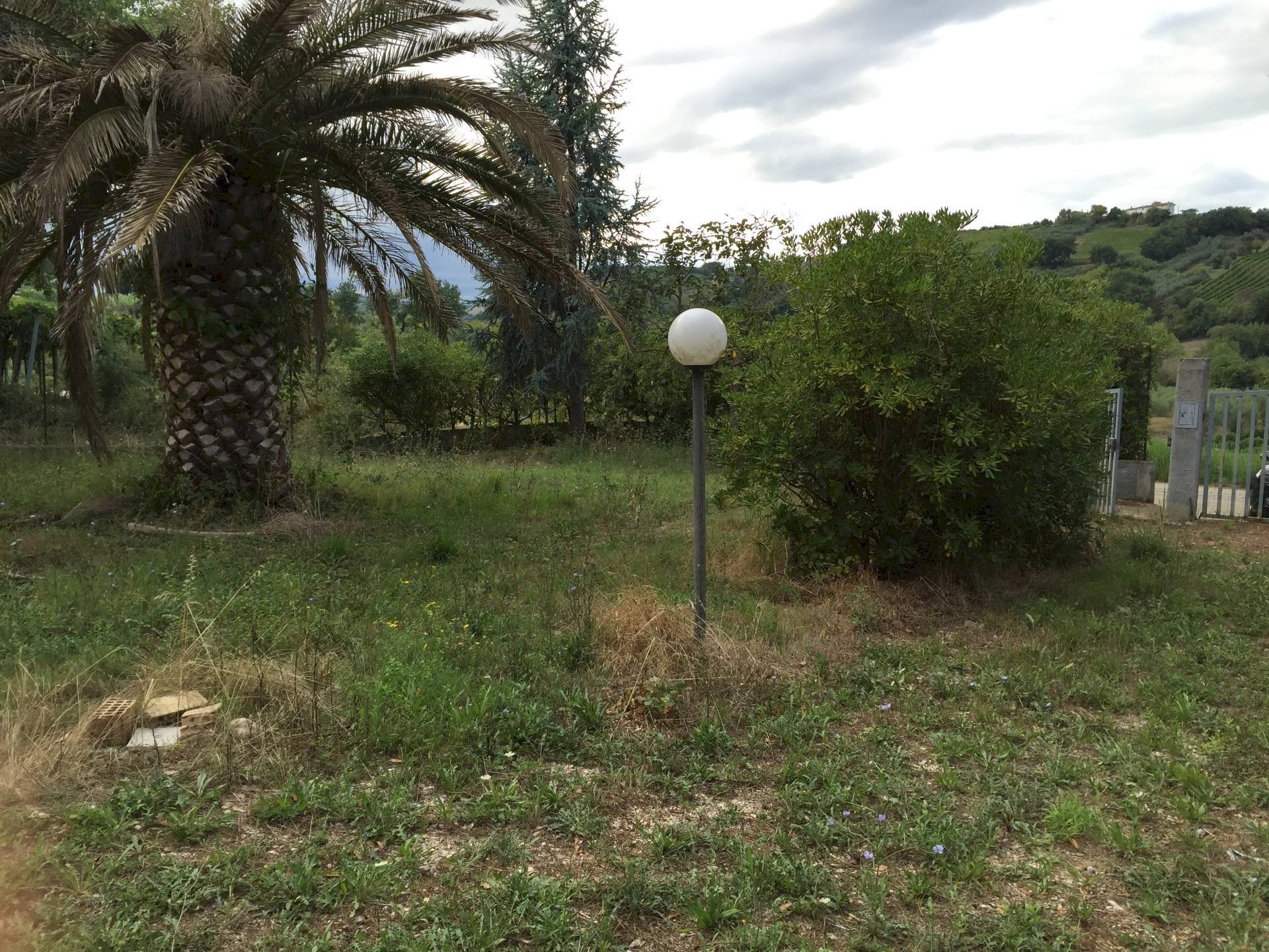 Foto 3 - Casa indipendente Pollutri - foto 3