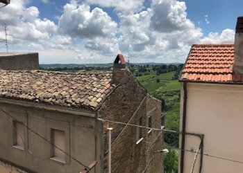 Foto 15 - Casa semi indipendente VIA MARCONI, Pollutri - foto 15