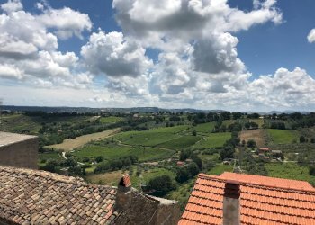 Foto 23 - Casa semi indipendente VIA MARCONI, Pollutri - foto 23