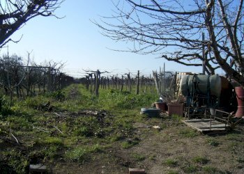 Foto 3 - Villa PIANO CROCE, Pollutri - foto 3