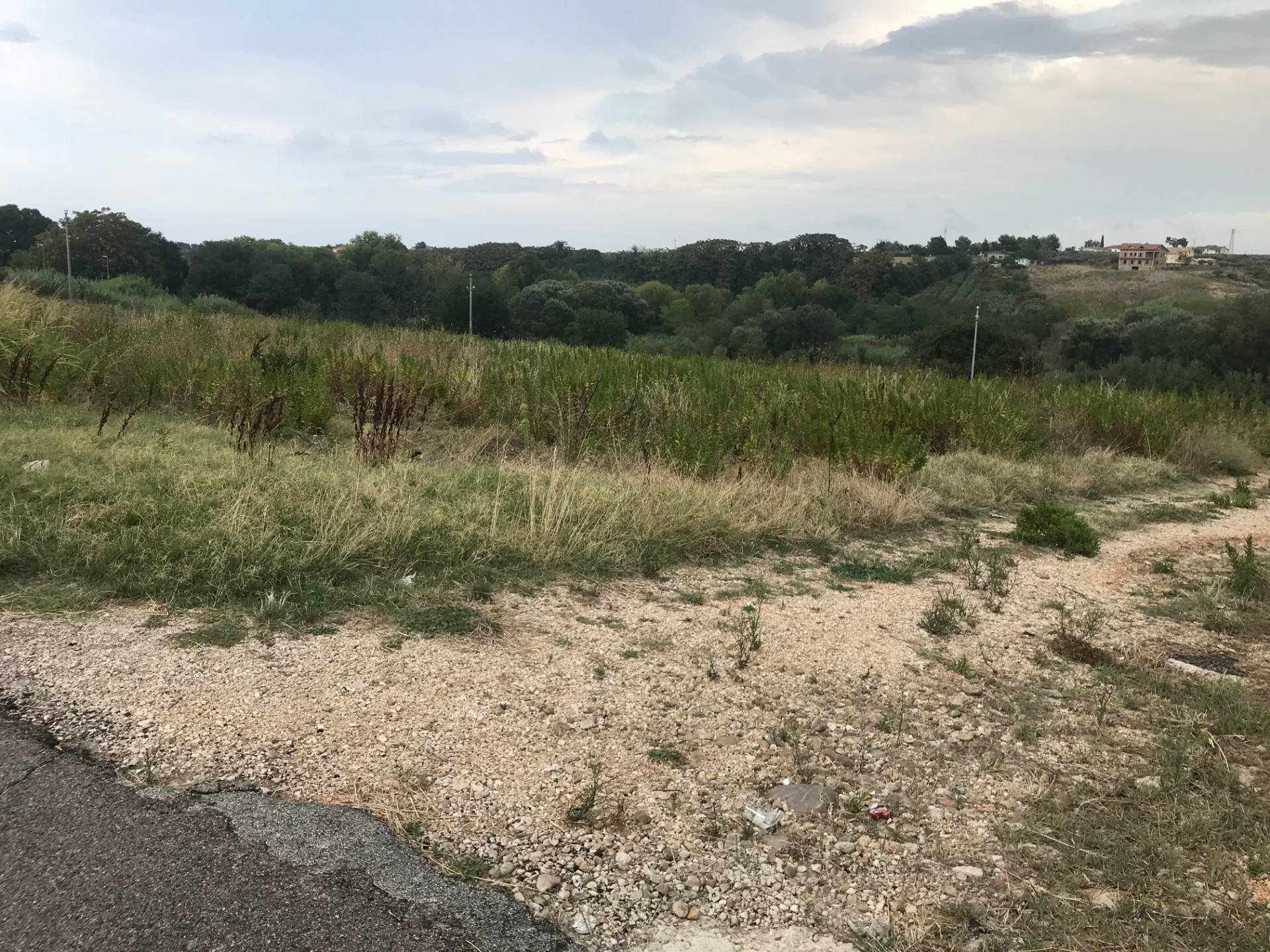 Foto 2 - Agricultural land CONTRADA LEBBA, Vasto - photo 2