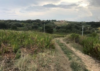 Foto 3 - Terreno agricolo CONTRADA LEBBA, Vasto - foto 3