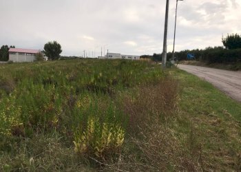 Foto 6 - Terreno agricolo CONTRADA LEBBA, Vasto - foto 6