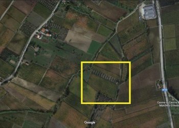 Foto 1 - Terreno agricolo CONTRADA CRIVELLA, Pollutri - foto 1