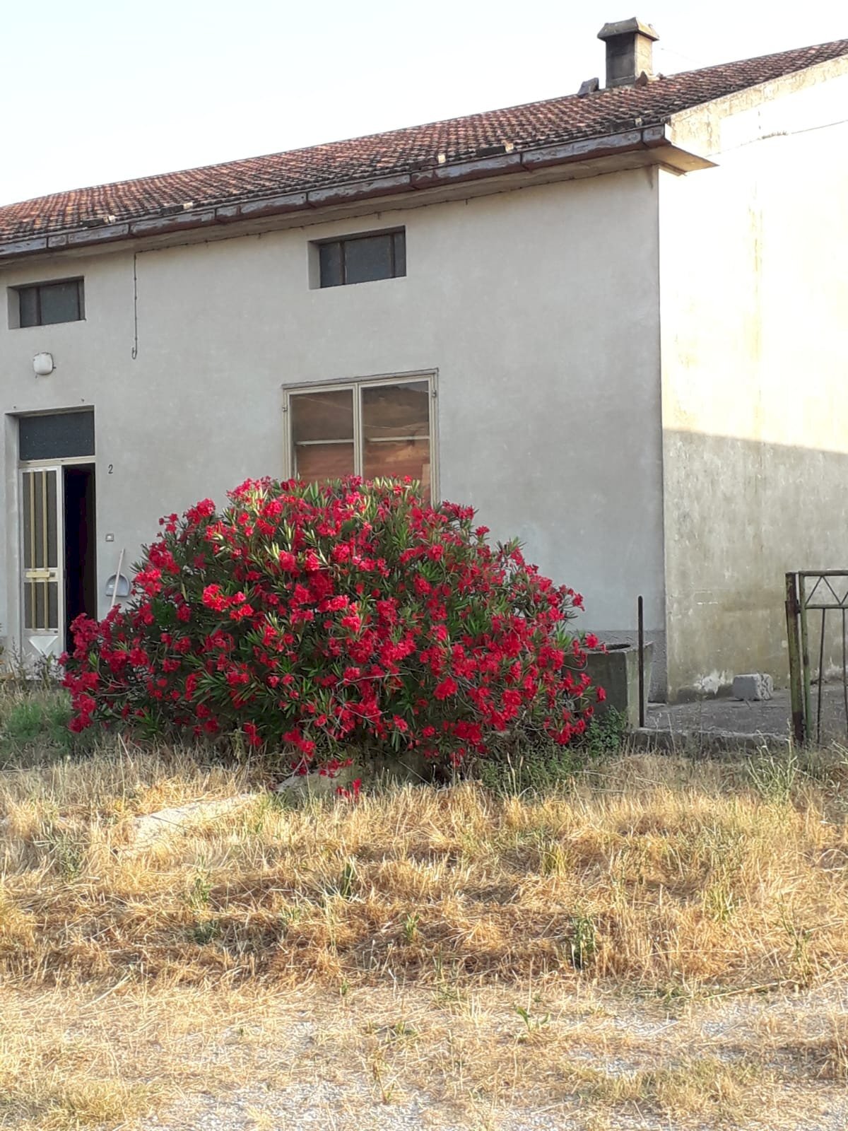 Foto 3 - Rustic Prato
 
2, Paglieta - photo 3