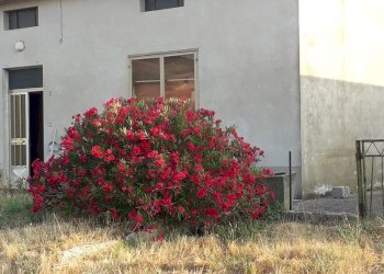 Foto 3 - Rustico Prato
 
2, Paglieta - foto 3