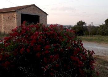 Foto 15 - Rustico Prato
 
2, Paglieta - foto 15