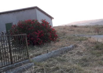 Foto 27 - Rustico Prato
 
2, Paglieta - foto 27