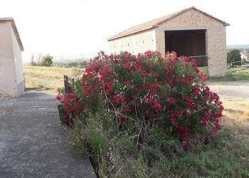 Foto 29 - Rustico Prato
 
2, Paglieta - foto 29