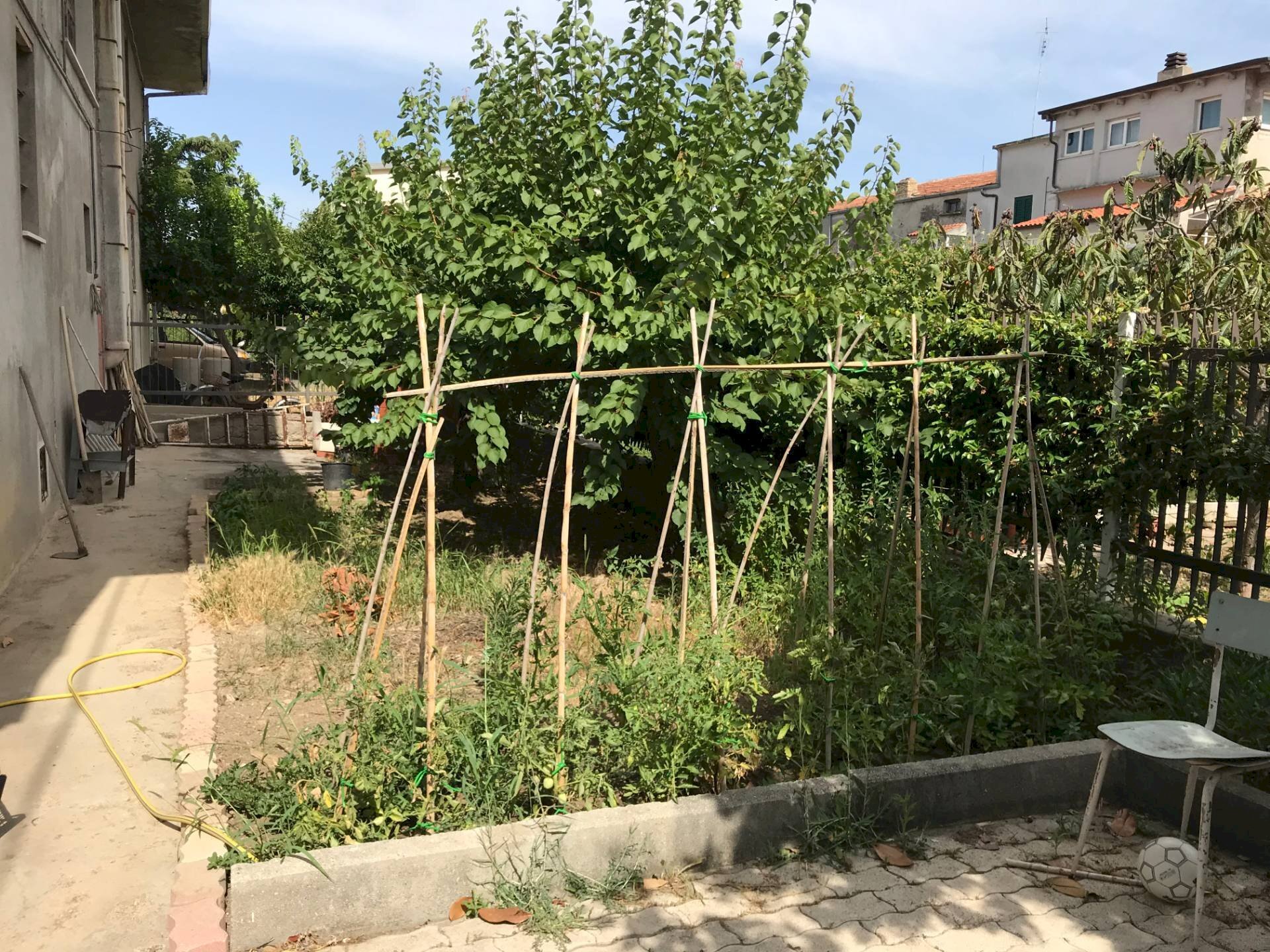 Foto 3 - Casa indipendente VIA RAFFAELLO, Casalbordino - foto 3