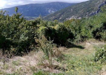 Foto 3 - Casa indipendente VIA ITALIA
 
16, Lettopalena - foto 3