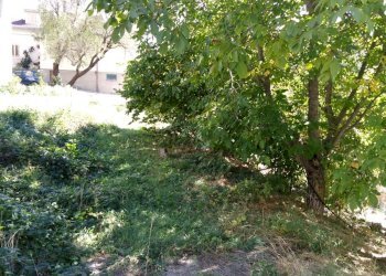 Foto 5 - Casa indipendente VIA ITALIA
 
16, Lettopalena - foto 5