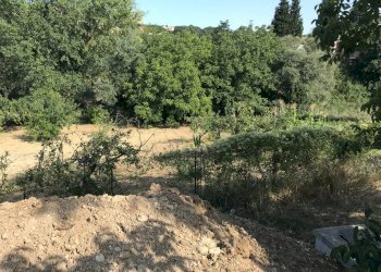 Foto 9 - Casa indipendente VIA MADDALENA, Vasto - foto 9