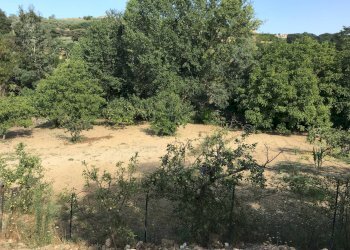 Foto 14 - Casa indipendente VIA MADDALENA, Vasto - foto 14