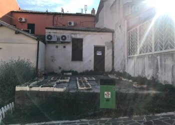 Foto 11 - Locale Commerciale CORSO GARIBALDI
 
62/A, Vasto - foto 11