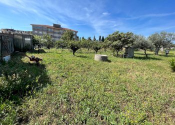 Foto 2 - Casa semi indipendente VIA CATONE, Vasto - foto 2