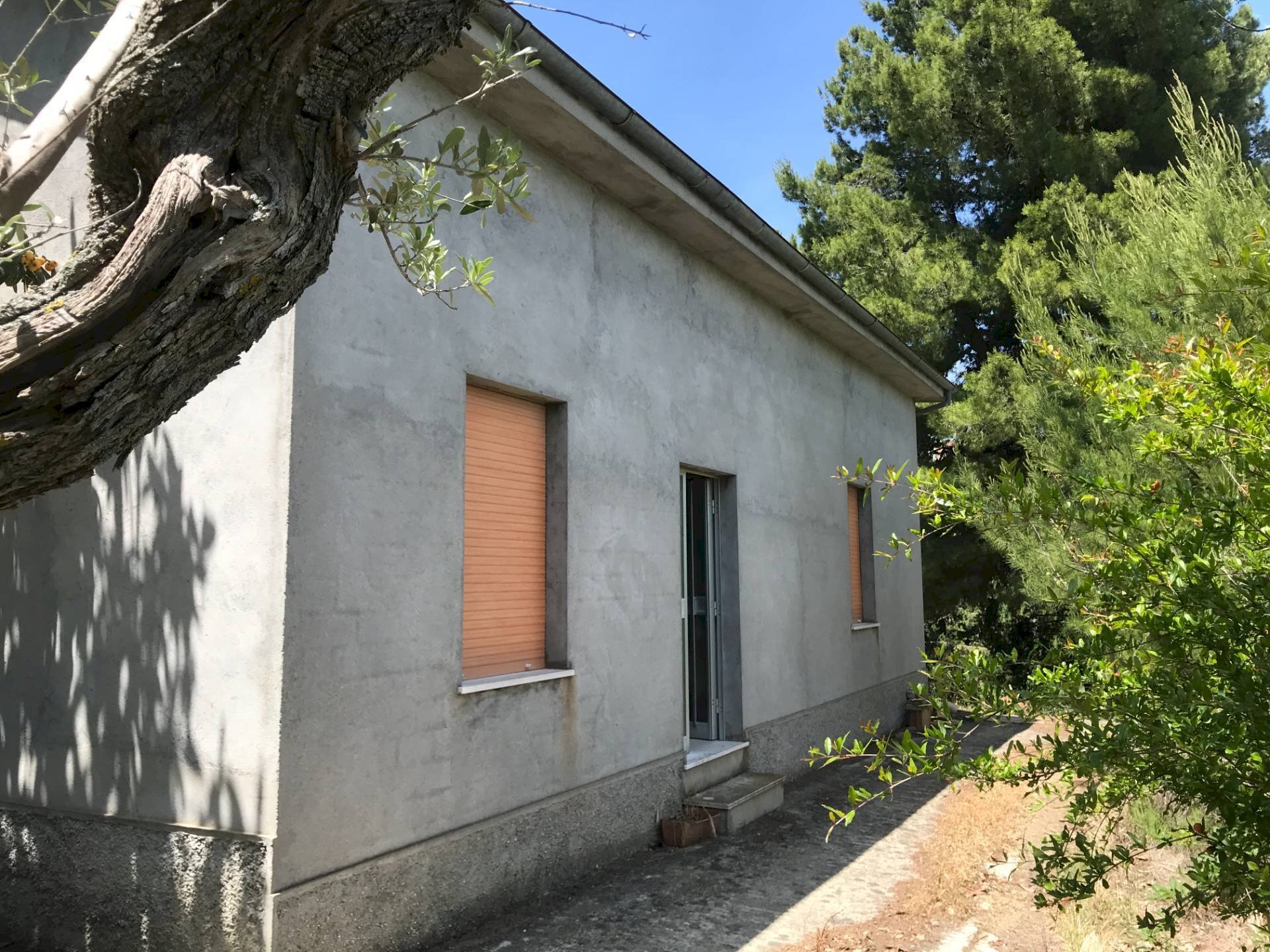 Foto 2 - Rustic Contrada Cerchi Grossi, Pollutri - photo 2