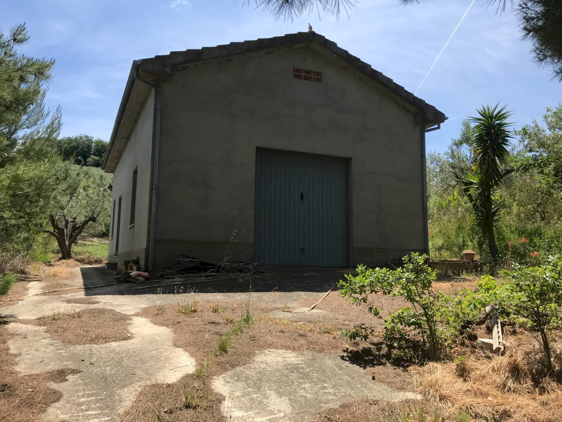 Foto 3 - Rustic Contrada Cerchi Grossi, Pollutri - photo 3