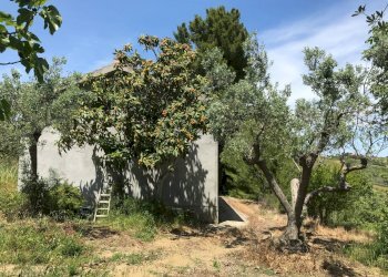 Foto 12 - Rustico Contrada Cerchi Grossi, Pollutri - foto 12