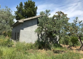 Foto 14 - Rustico Contrada Cerchi Grossi, Pollutri - foto 14