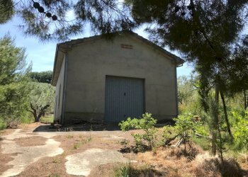 Foto 15 - Rustico Contrada Cerchi Grossi, Pollutri - foto 15