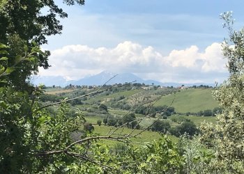 Foto 17 - Rustico Contrada Cerchi Grossi, Pollutri - foto 17