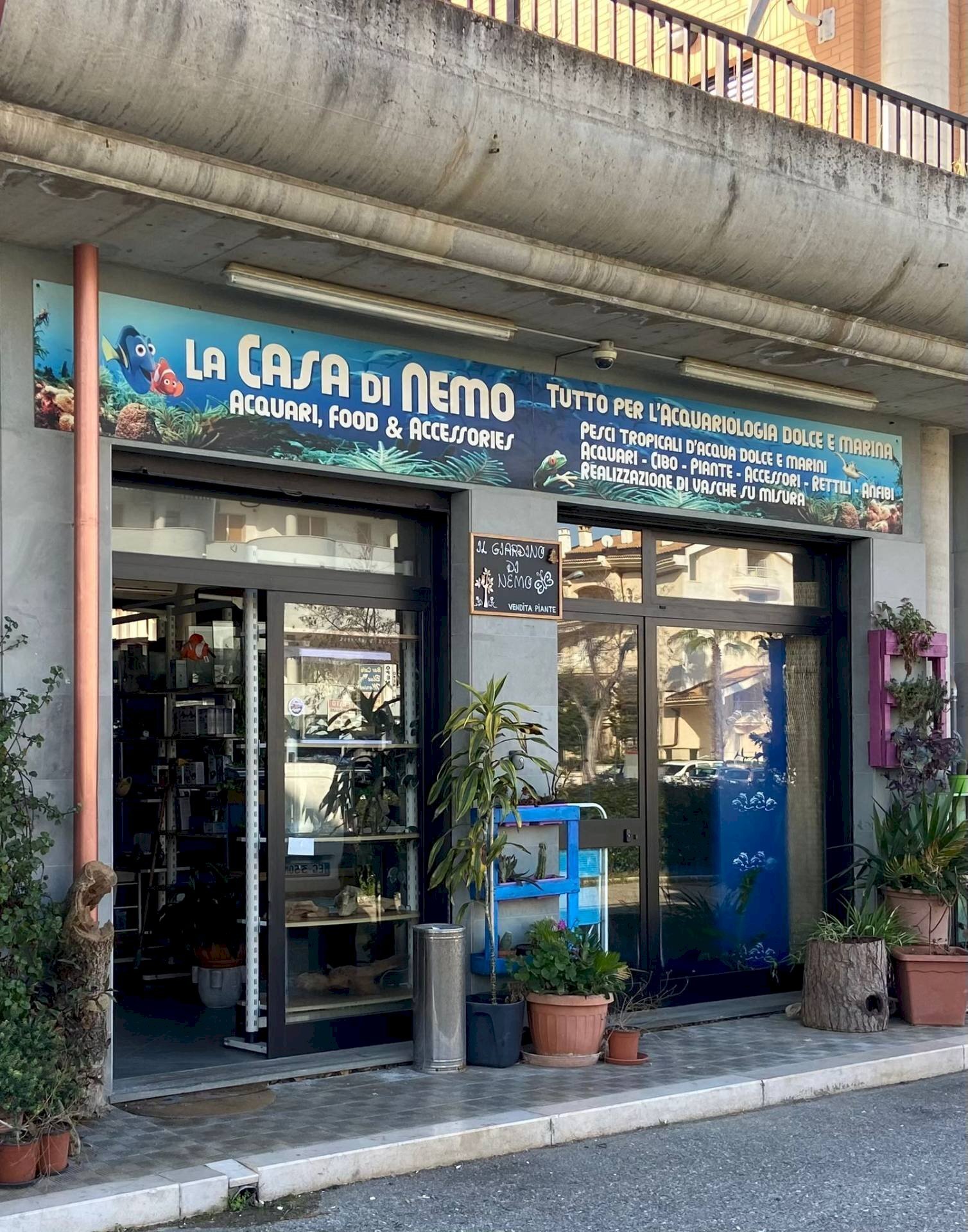 Foto 2 - Locale Commerciale SS 16, Vasto - foto 2