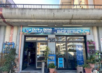 Foto 1 - Locale Commerciale SS 16, Vasto - foto 1