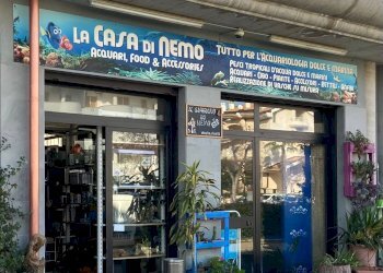 Foto 2 - Locale Commerciale SS 16, Vasto - foto 2