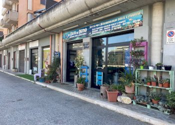 Foto 3 - Locale Commerciale SS 16, Vasto - foto 3