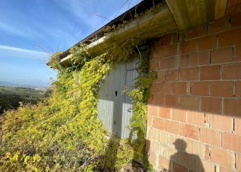 Foto 15 - Casa indipendente VIA TRE CROCI, Pollutri - foto 15